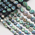 High Quality Natural Abalone Shell Beads Coin  for Making Charms Necklaces Bracelets Earrings